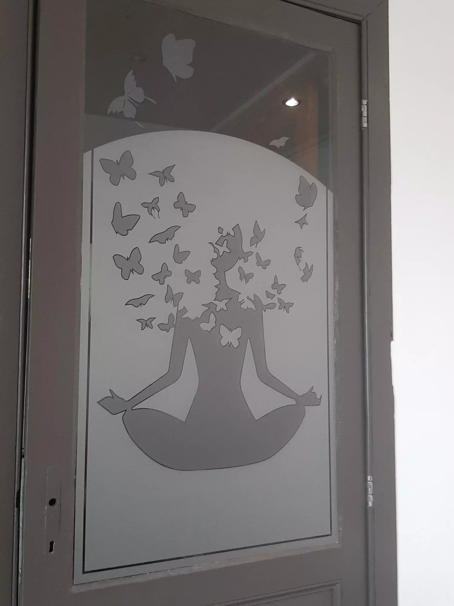 Sablé Papillons sur porte double vinyl intérieur 1